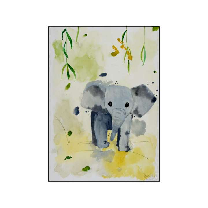 Priser på Plakat Baby Elefant 50x70